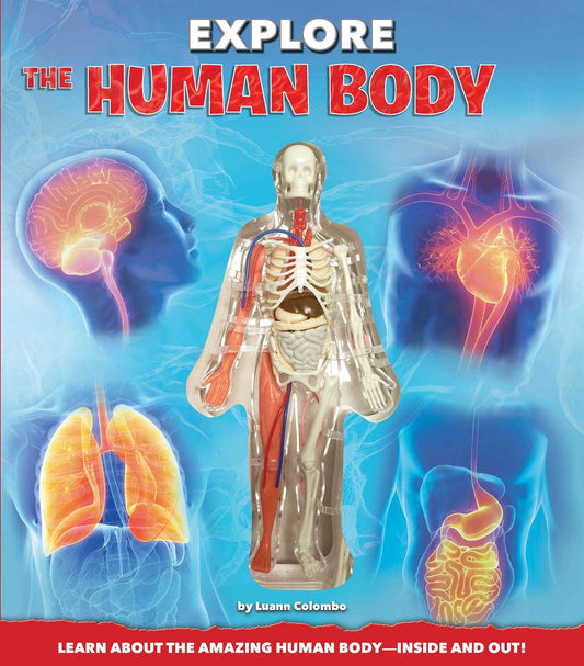 EXPLORE THE HUMAN BODY