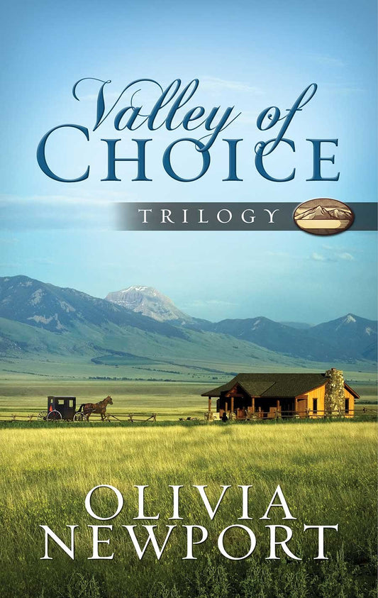 Valley of Choice Trilogy: One Modern Woman’s Complicated Journey into the Simple Life Told in Three Novels