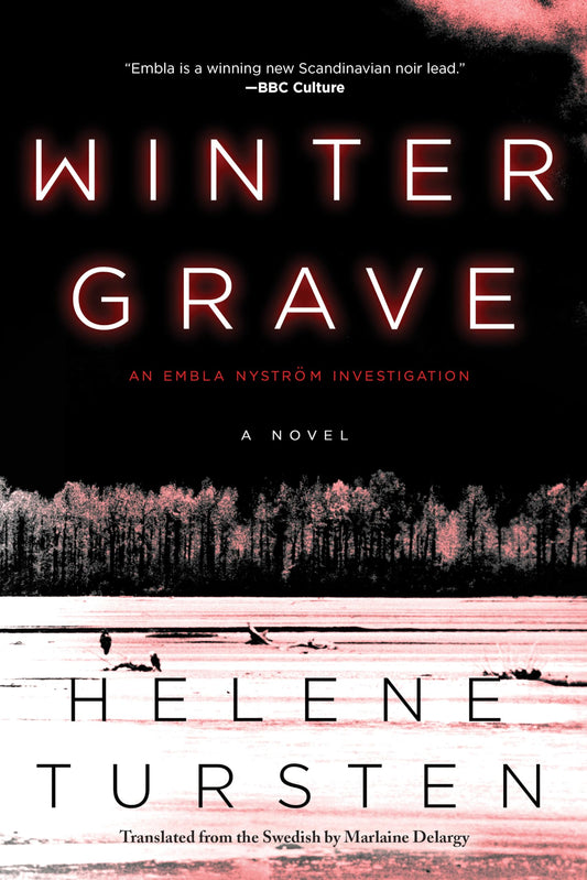 Winter Grave (An Embla Nyström Investigation)