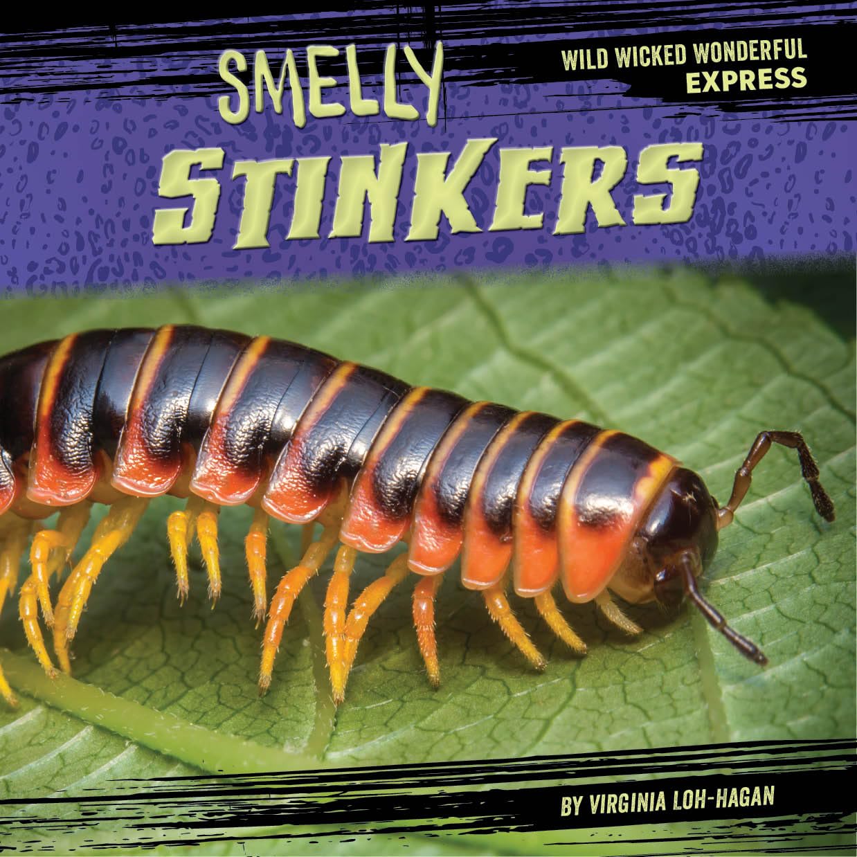 Smelly Stinkers (Wild Wicked Wonderful Express)