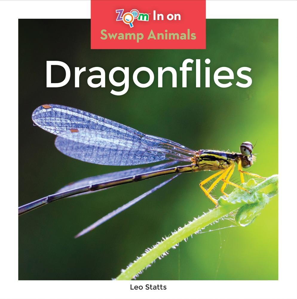Dragonflies (Zoom In on Swamp Animals)