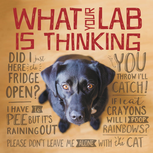 What Your Lab is Thinking