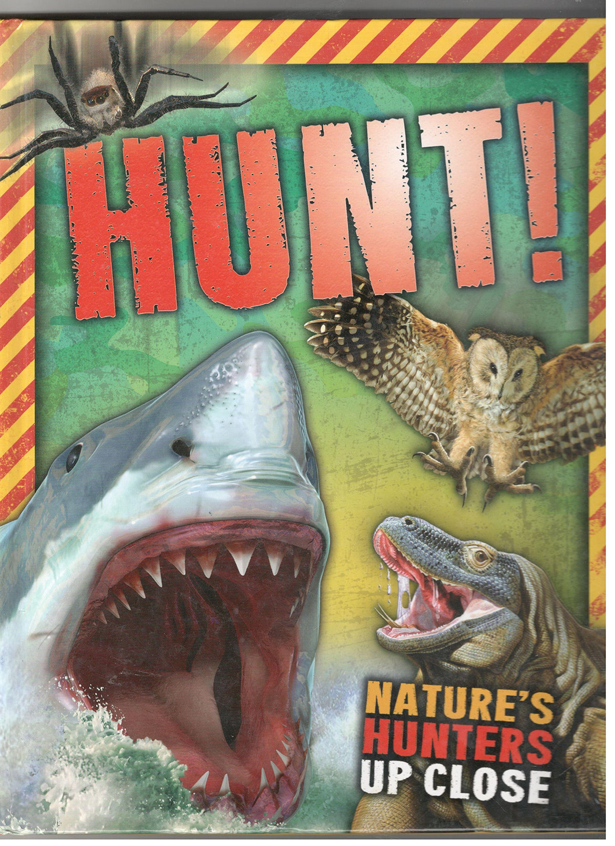 Hunt! Nature's Hunters Up Close