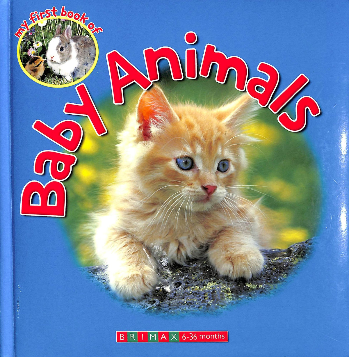 My First Book of Baby Animals