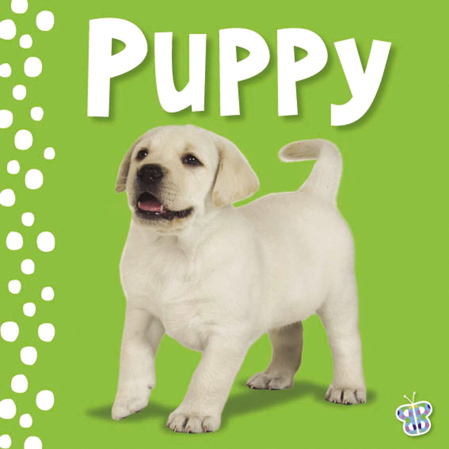 Touch and Feel - Puppy (Busy Baby)