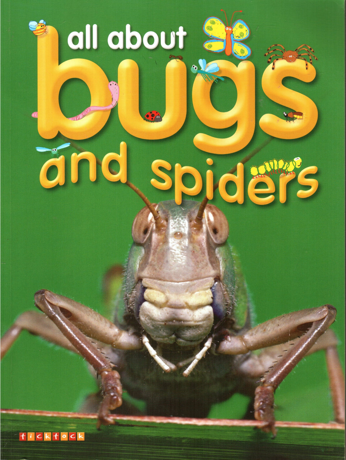 Bugs and Spiders