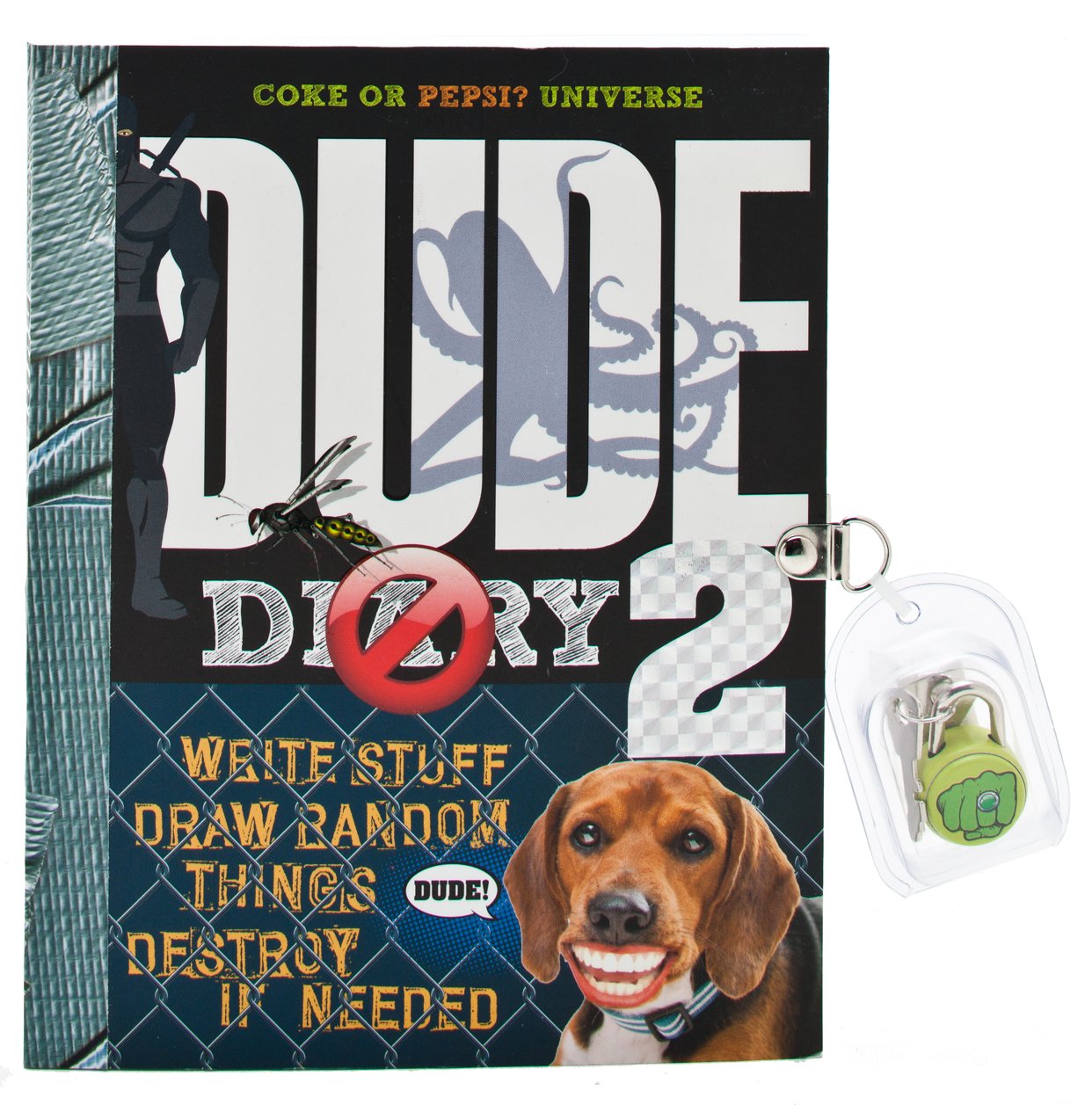 DUDE Diary #2