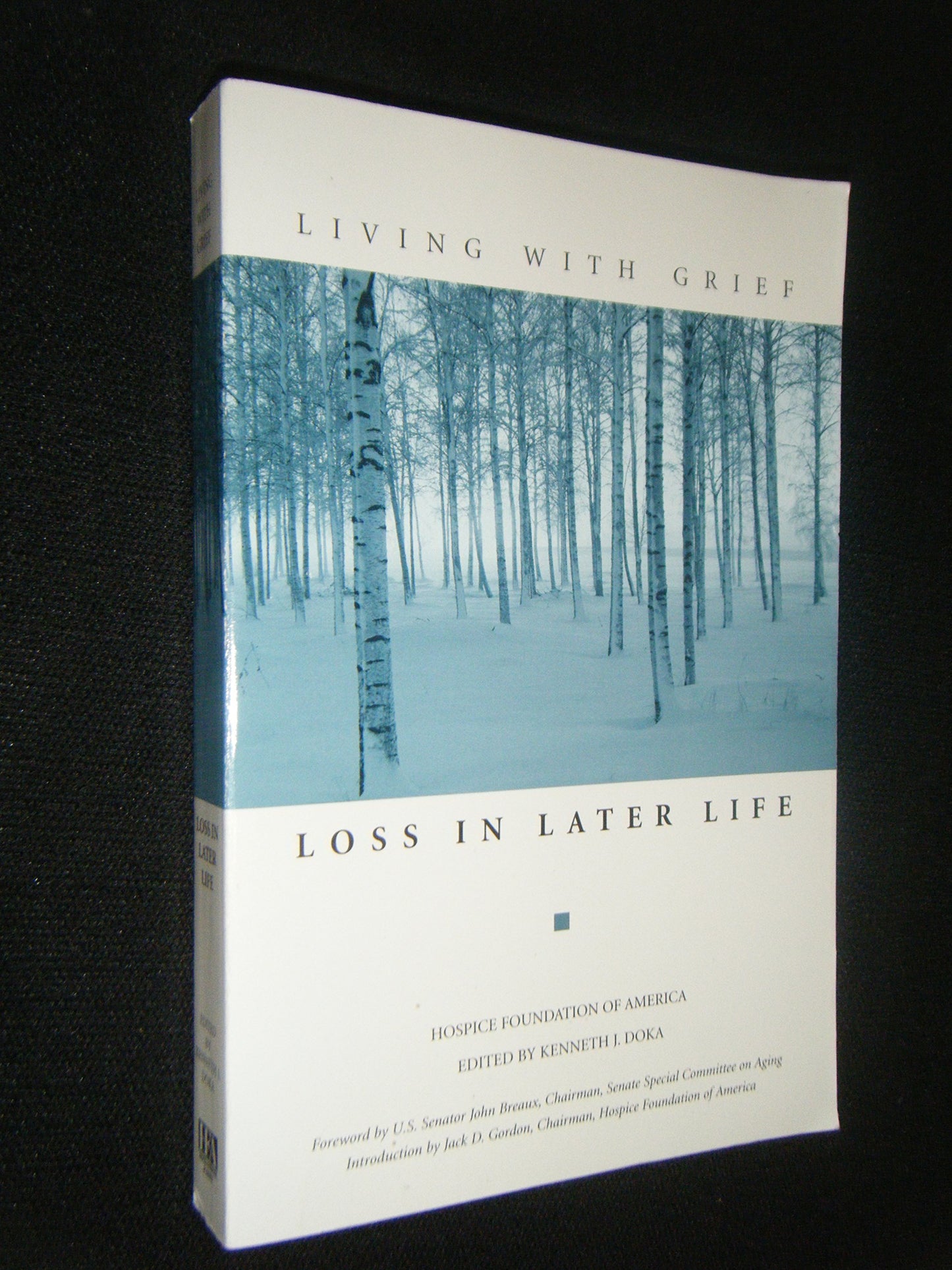 Living With Grief: Loss in Later Life