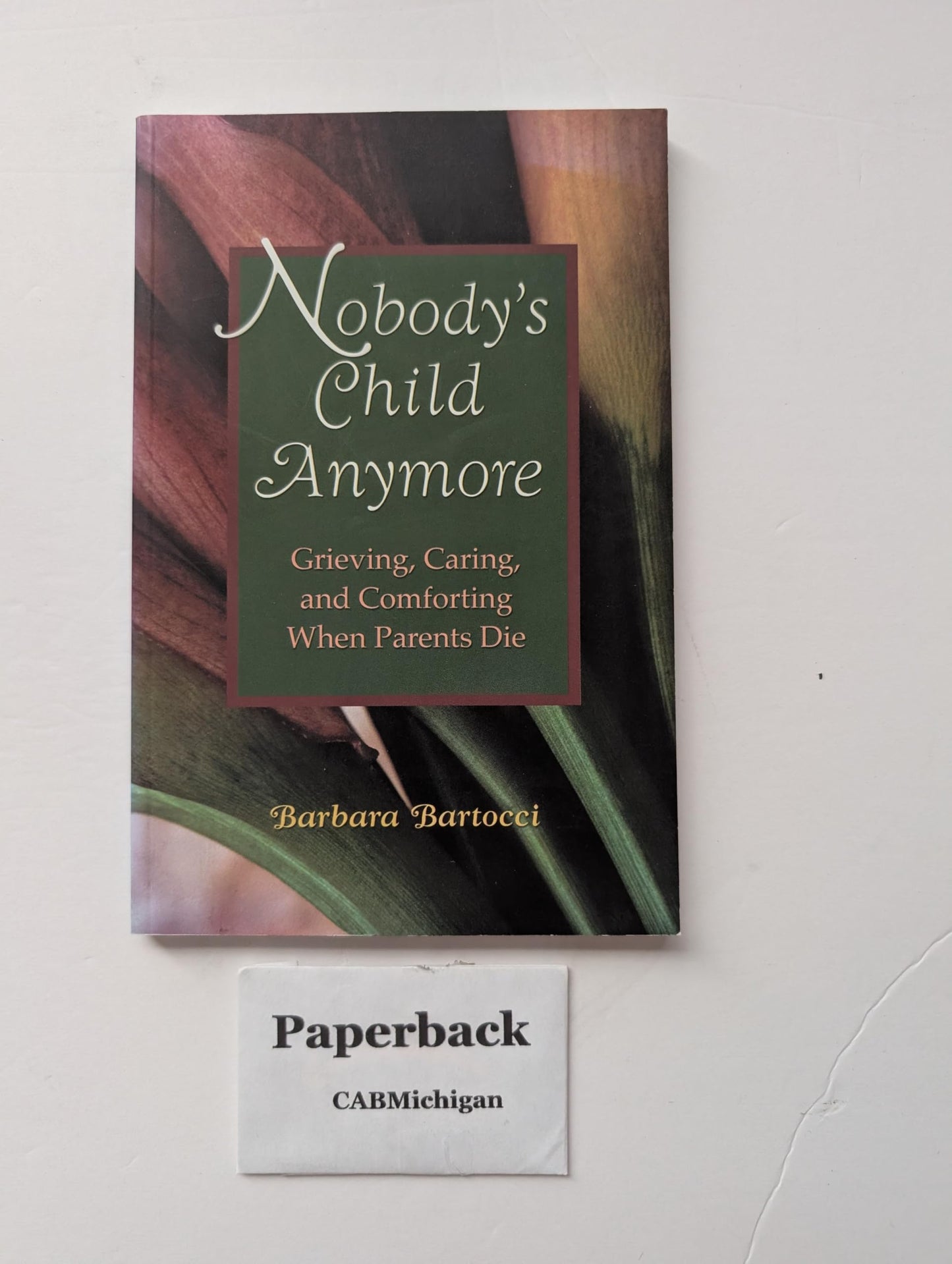Nobody's Child Anymore: Grieving, Caring and Comforting When Parents Die