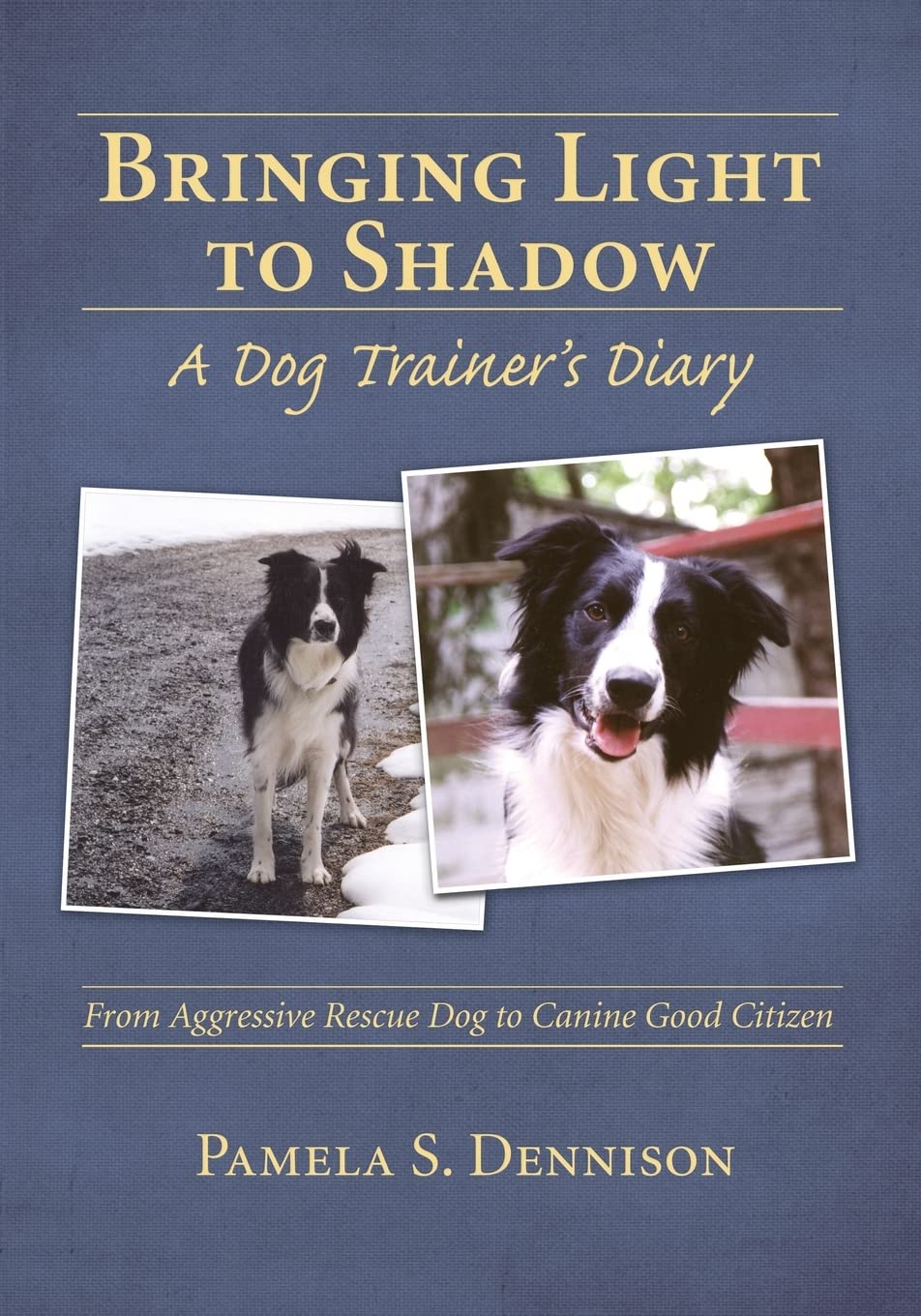 Bringing Light to Shadow: A Dog Trainer's Diary