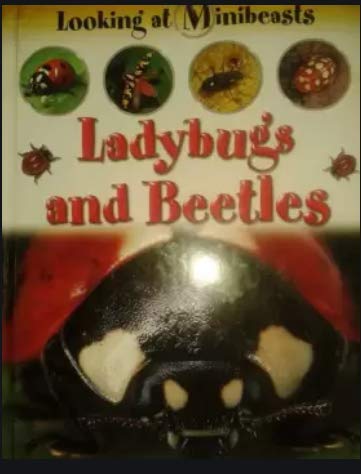 Ladybugs and Beetles (Looking at Minibeasts)