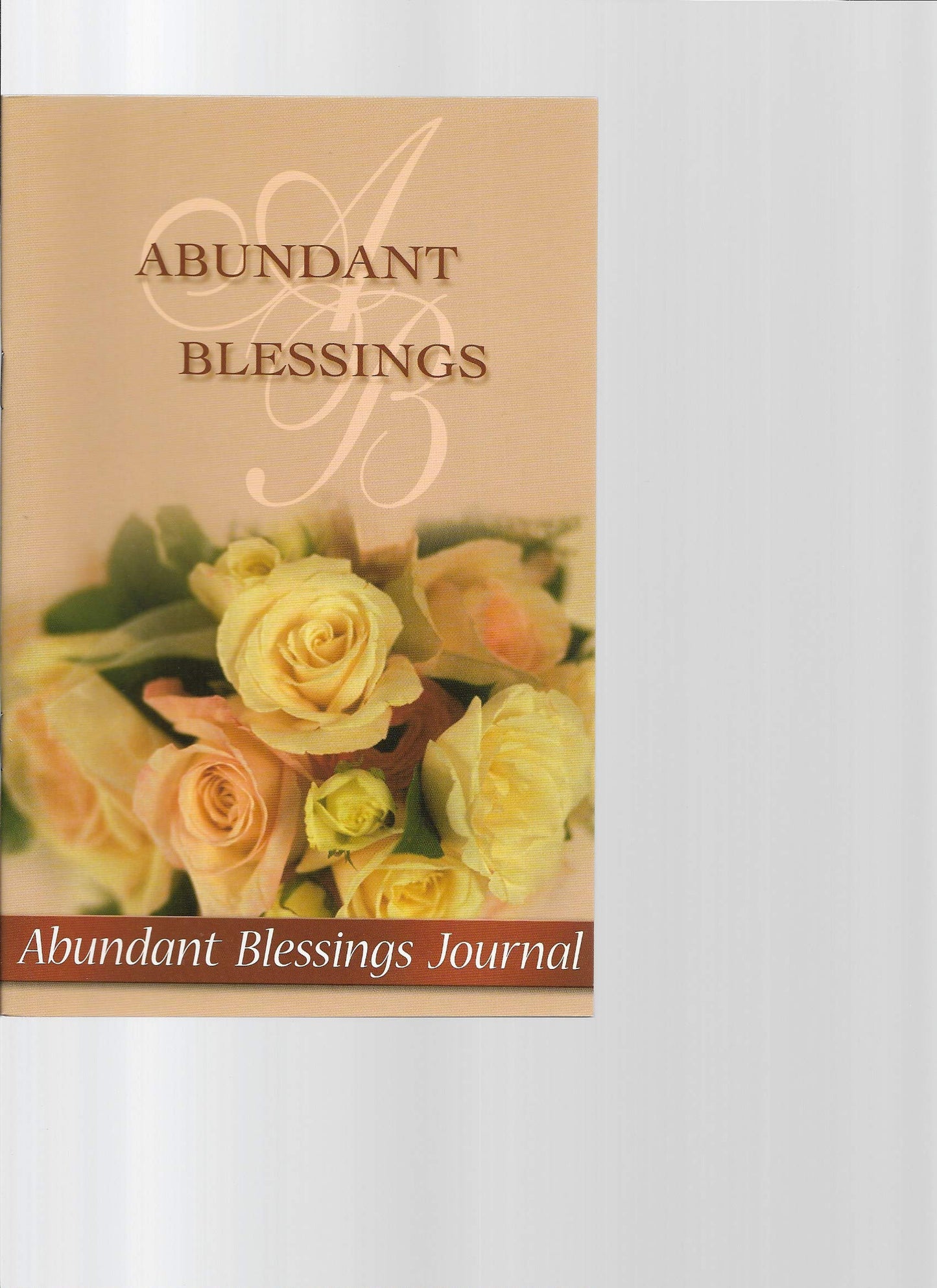Abundant Blessings Journal