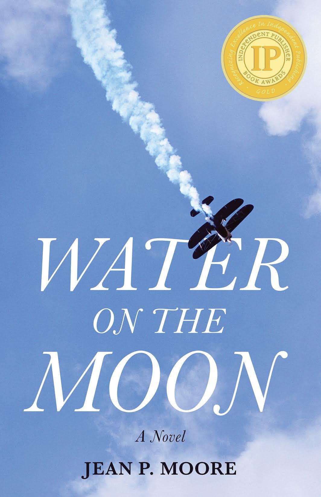 Water on the Moon: A Novel