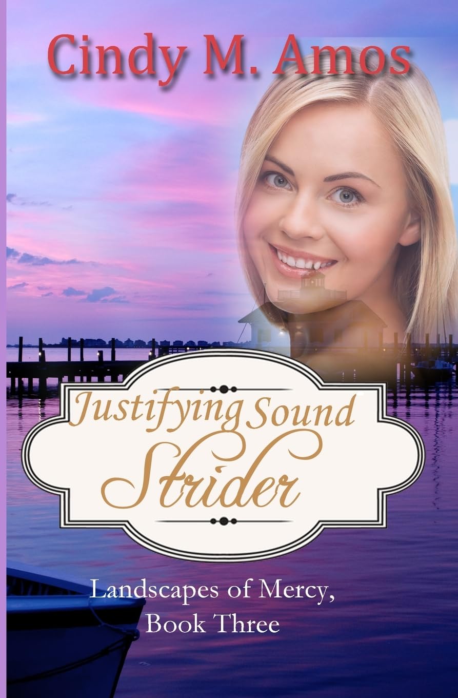 Justifying Sound Strider (Landscapes of Mercy)