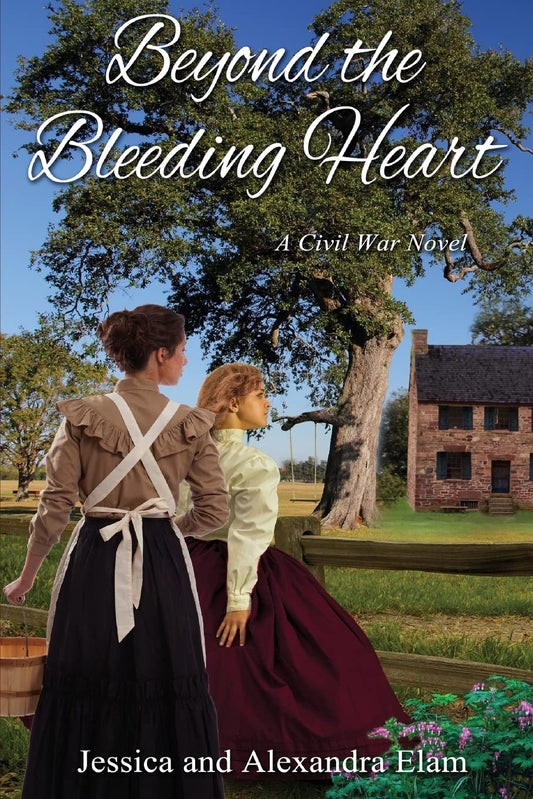 Beyond the Bleeding Heart: A Tale of the American Civil War (The Beyond Series)
