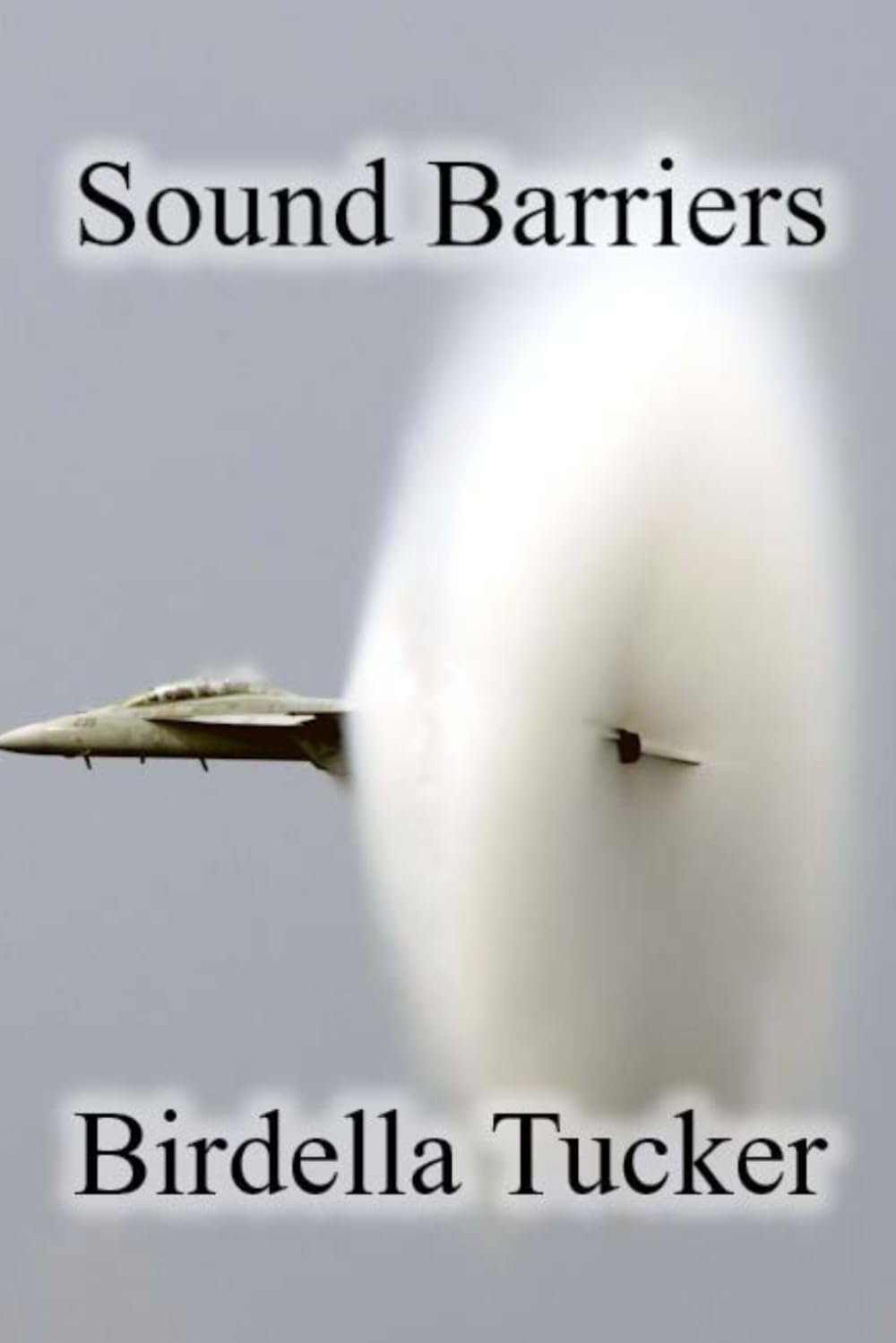 Sound Barriers