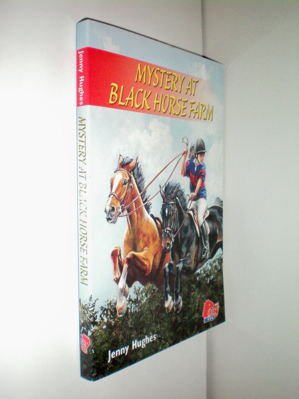 Mystery at Black Horse Farm