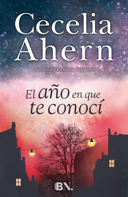 El año en que te conoci / The Year I Met You (Spanish Edition)