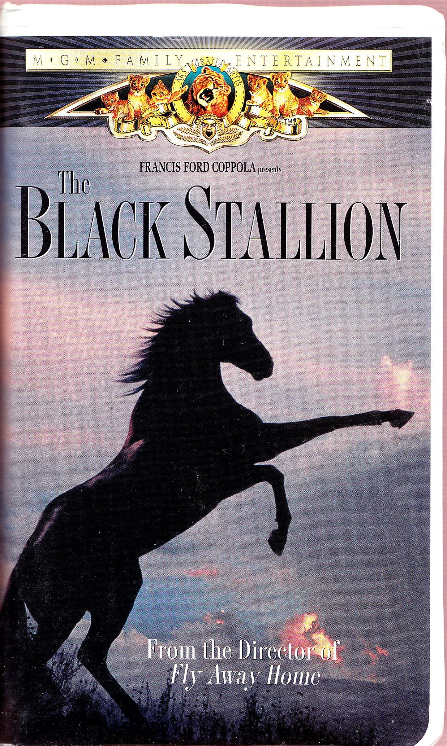 The Black Stallion [VHS]