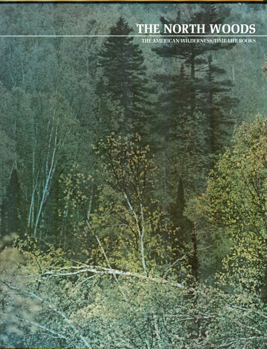 The north woods (The American wilderness) - 7707