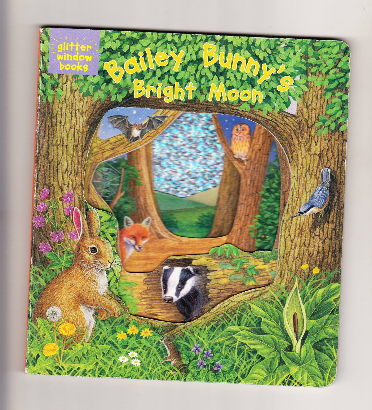 Bailey Bunny's Bright Moon (Glitter Window Books)