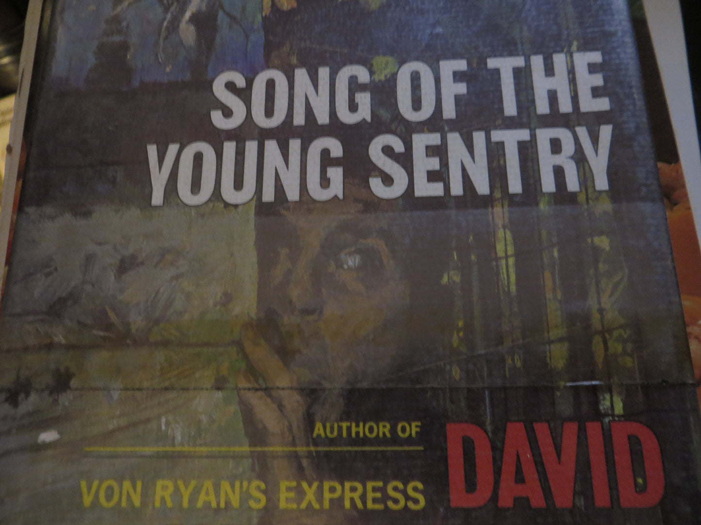 Song of the Young Sentry