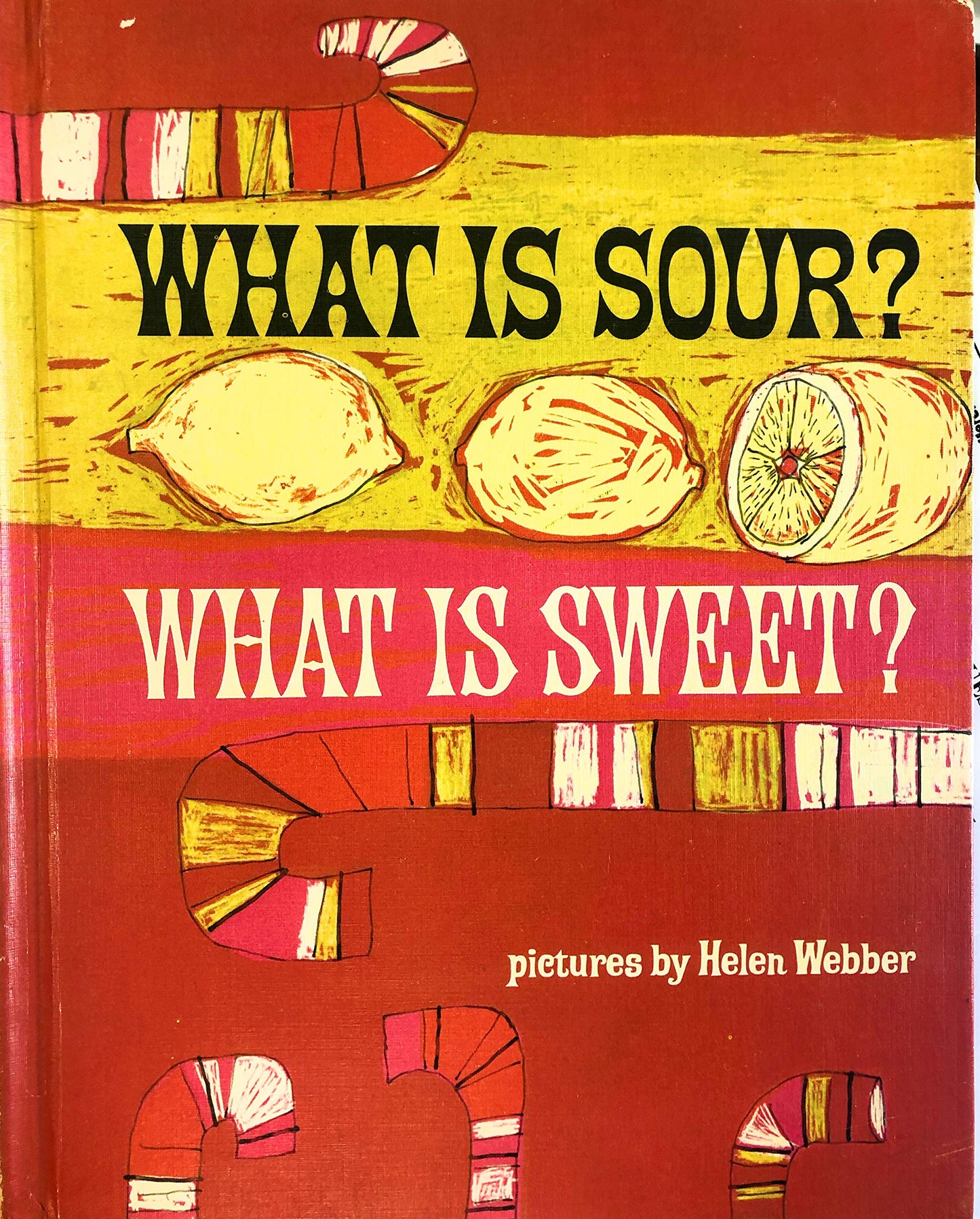 What is Sour? What is Sweet? A Book of Opposites