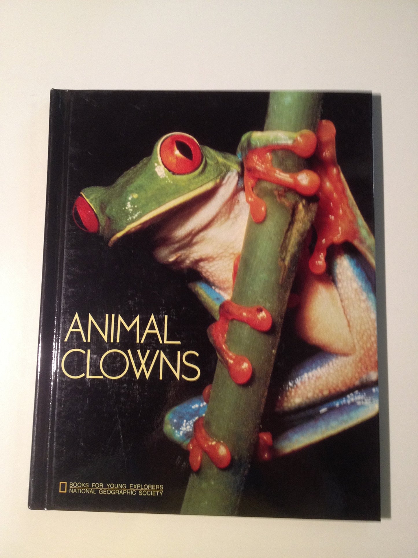 Animal Clowns