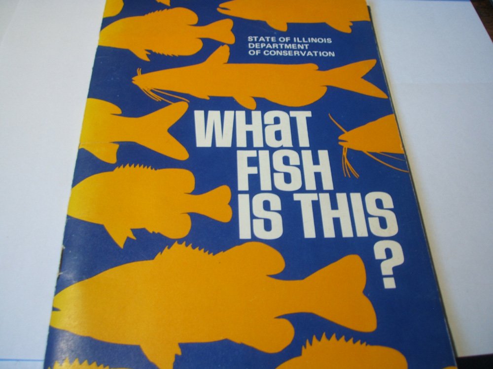 What Fish is This?