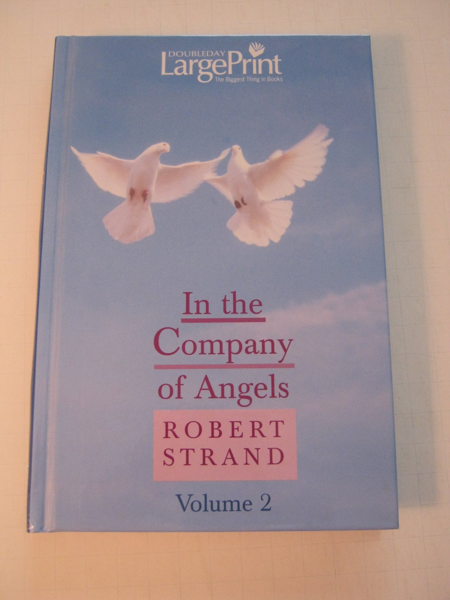 In the Company of Angels (Volume 2)