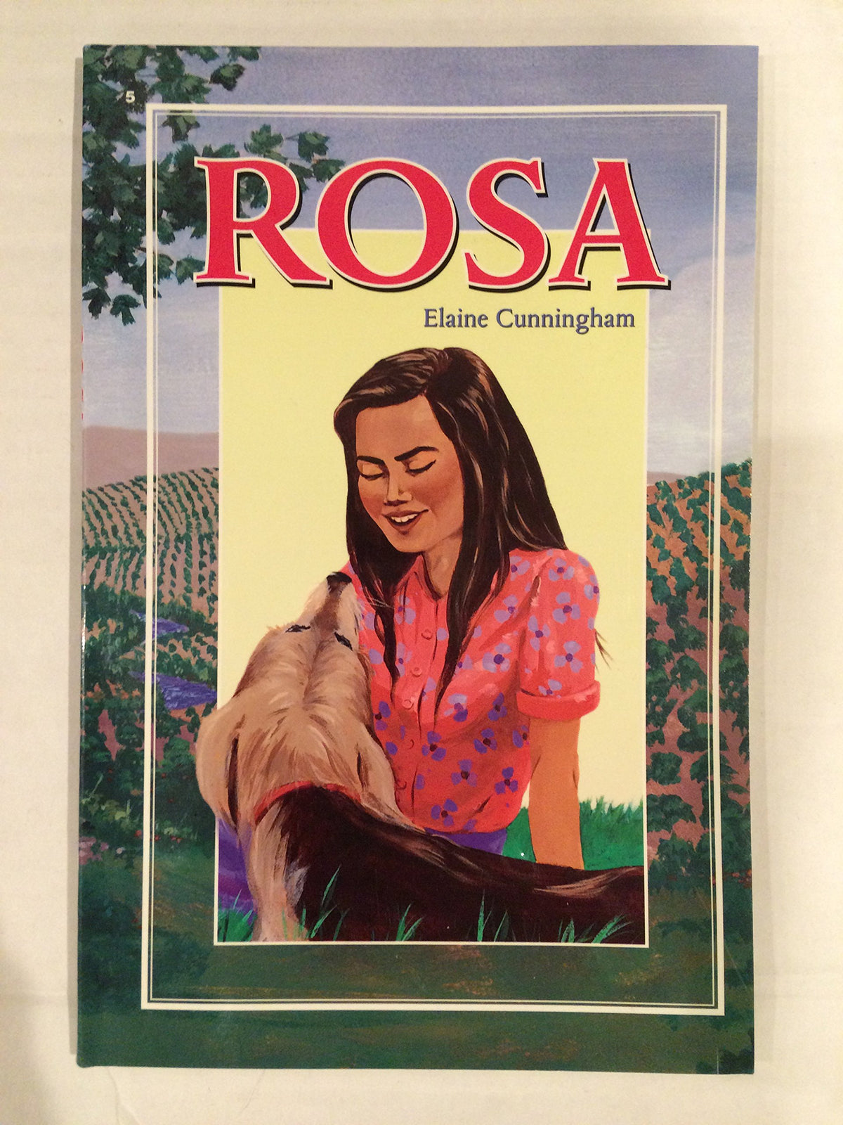 Rosa (A Beka Book Reading Program) By Elaine Cunningham