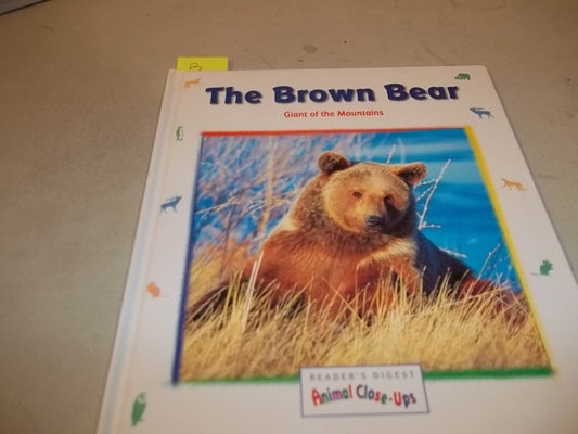Brown Bear Giant of the Mountains