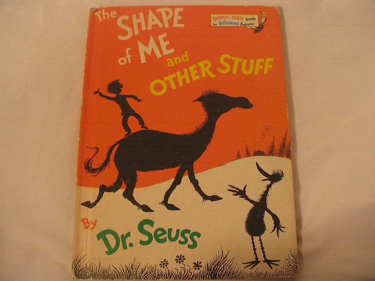 The Shape of Me and Other Stuff