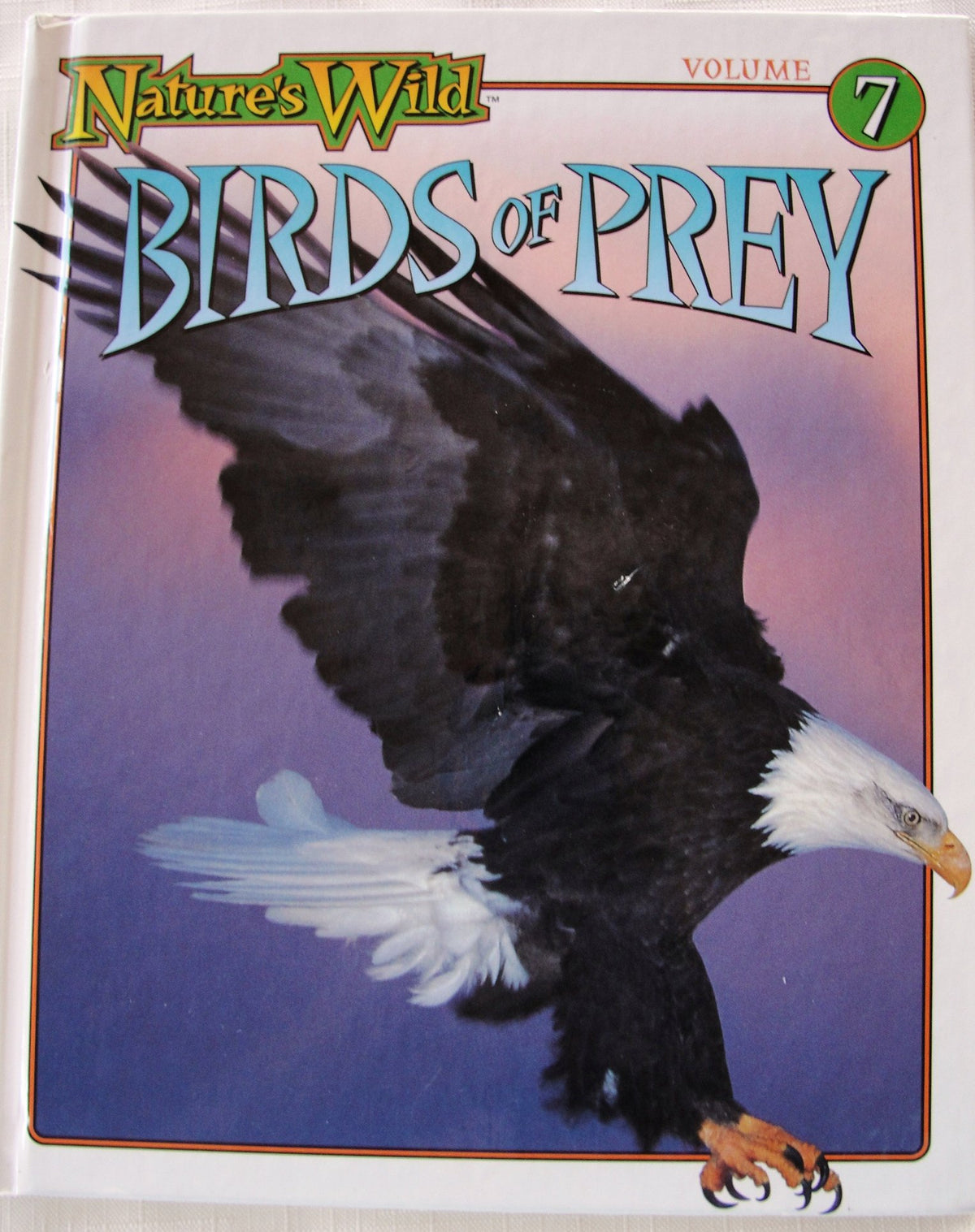 Birds of Prey (Nature's Wild) (Volume 7)