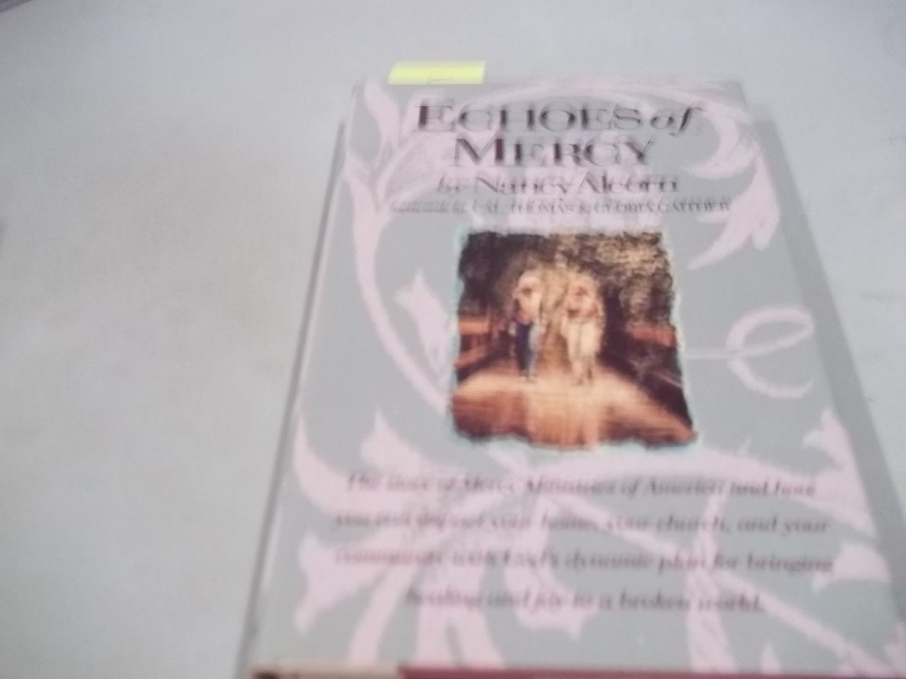 Echoes of Mercy