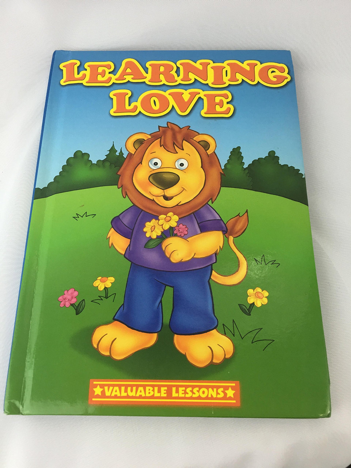 Learning Love - Valuable Lessons