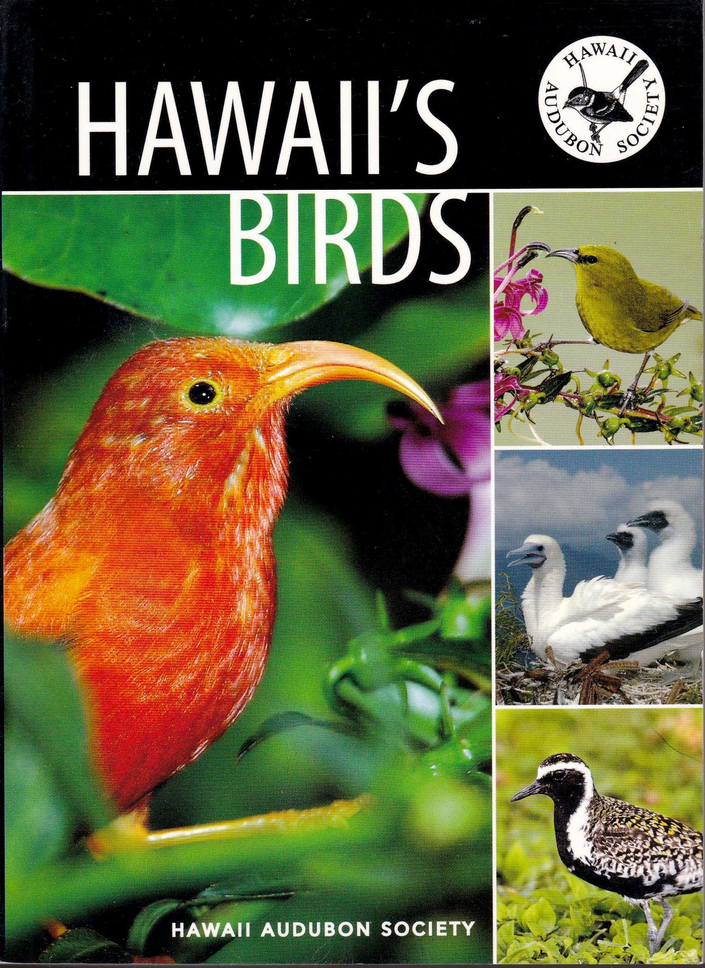 Hawaii's Birds