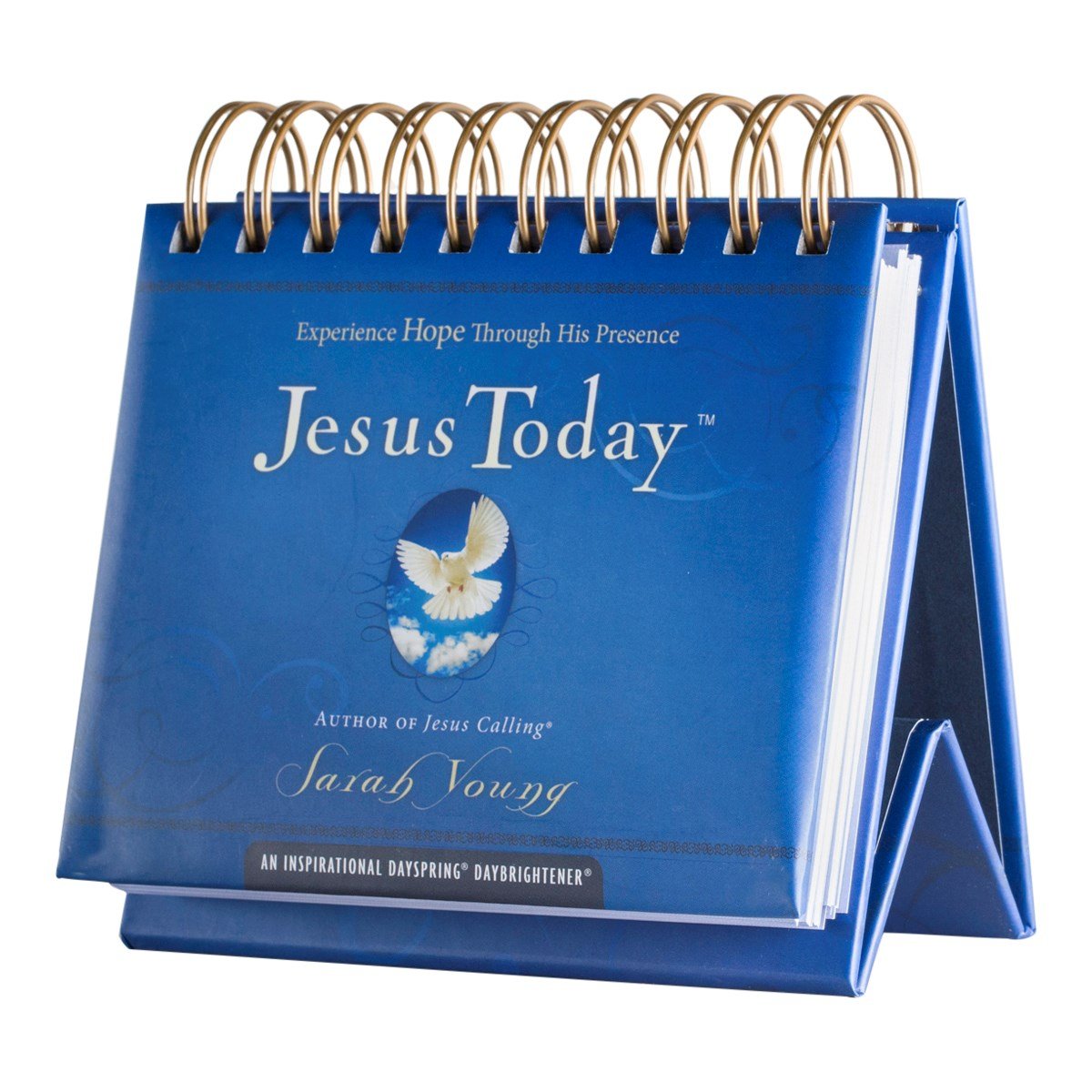 DaySpring Flip Calendar - Jesus Today by Sarah Young - 51199,Blue