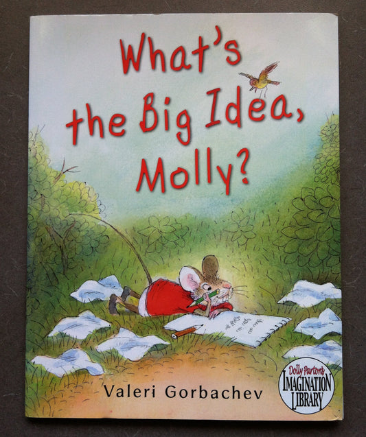 What's the Big Idea, Molly? (Dolly Parton's Imagination Library) by Valeri Gorbachev (2010-05-03)