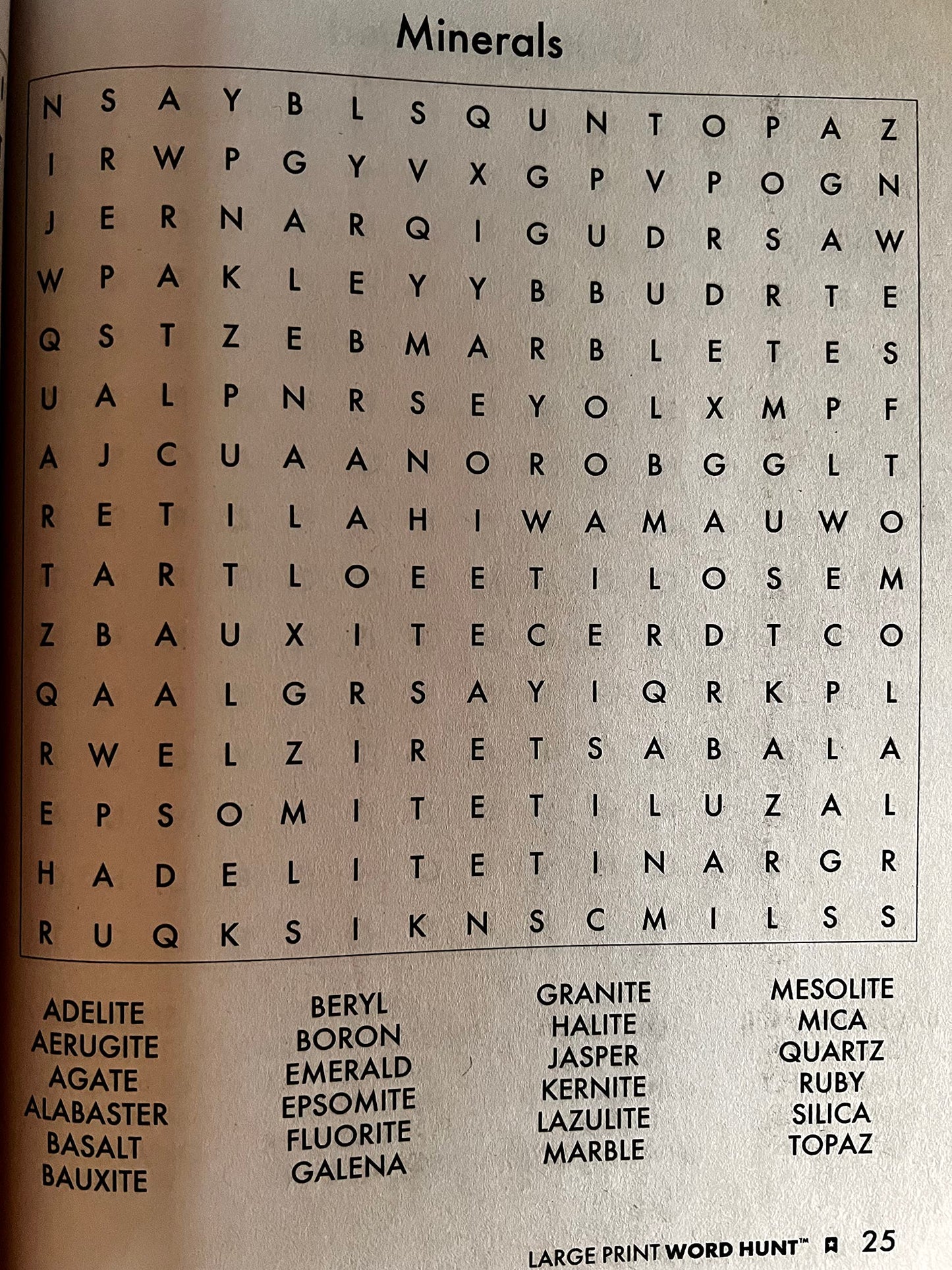 PAPP Large Print Word Hunt (Assorted, Volume Numbers & Quantities Vary) All New Puzzles