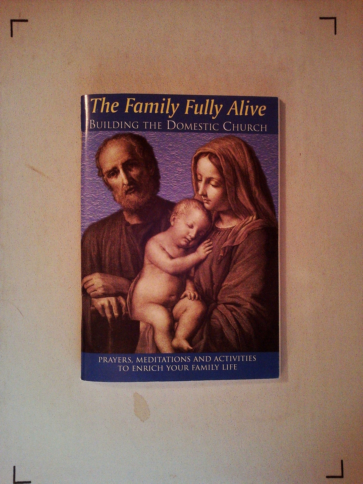 The Family Fully Alive: Building the Domestic Church