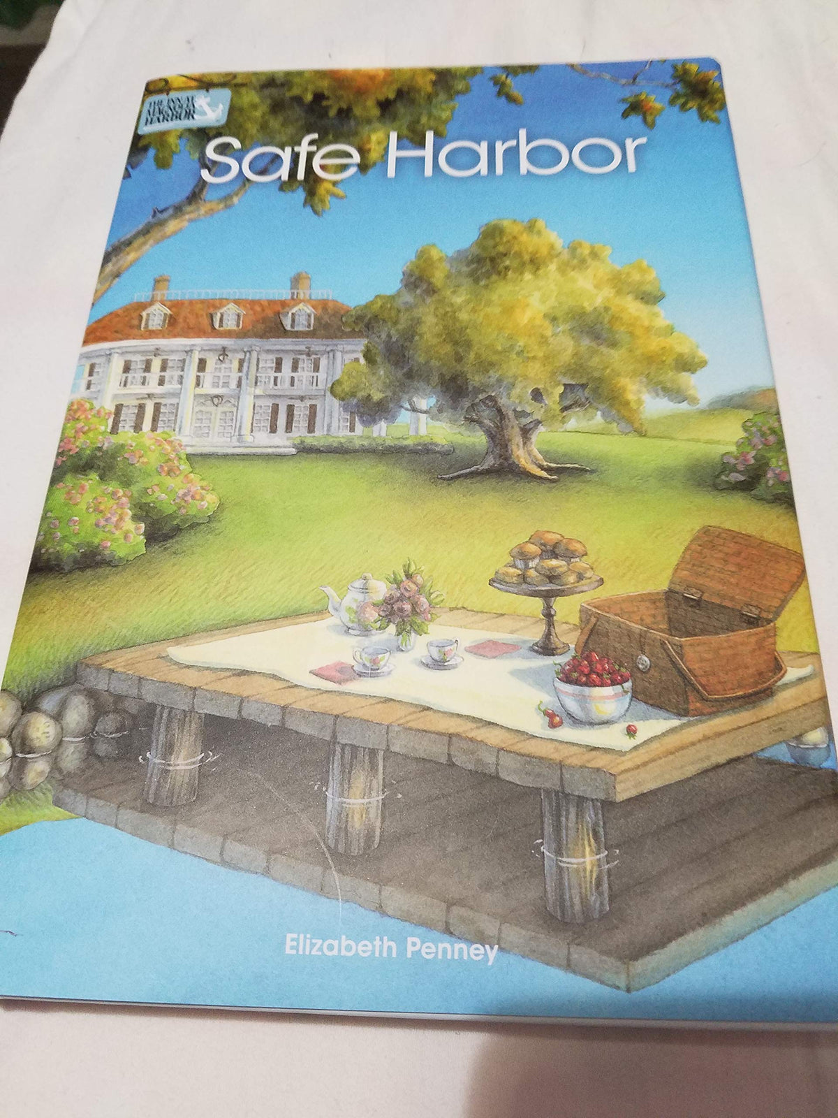 Safe Harbor