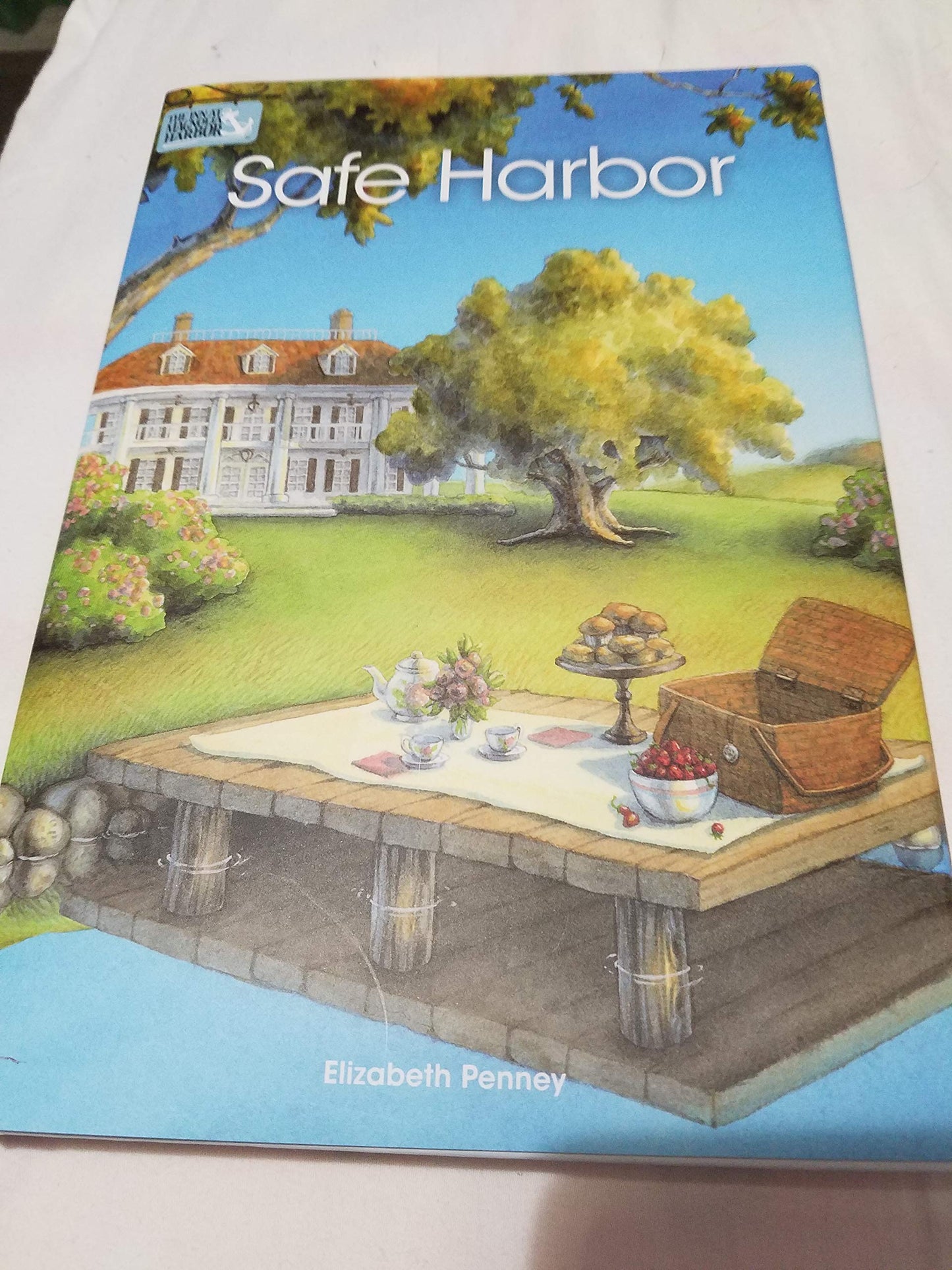 Safe Harbor