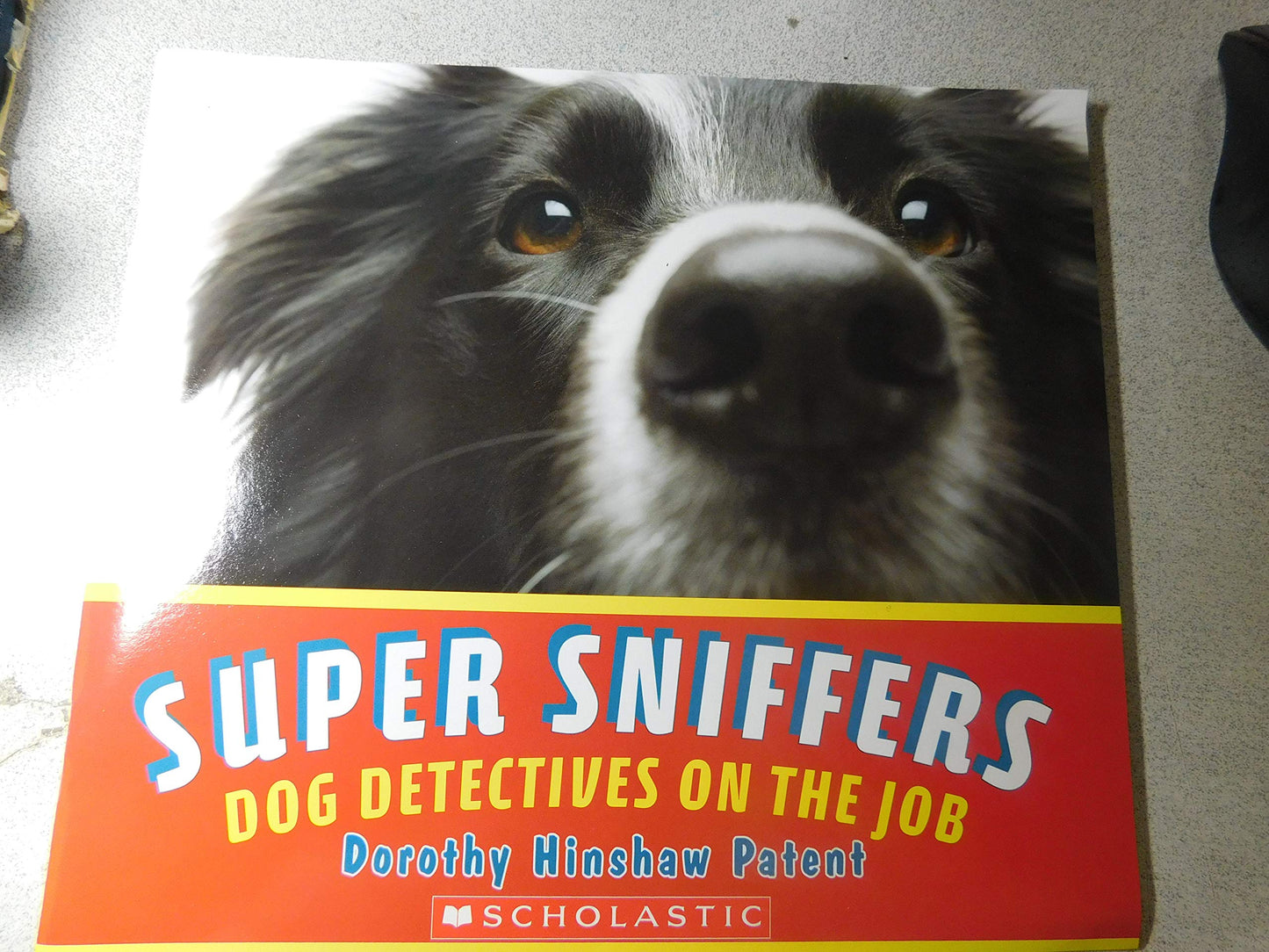 Super Sniffers Dog Detectives on the Job
