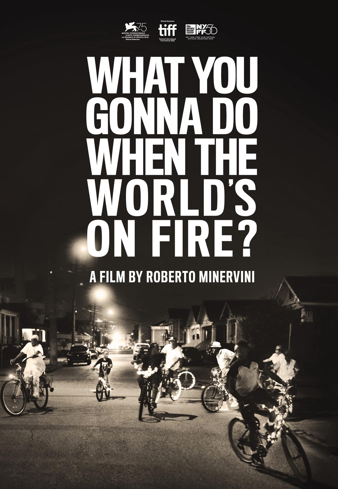 What You Gonna Do When the World's On Fire? [DVD]