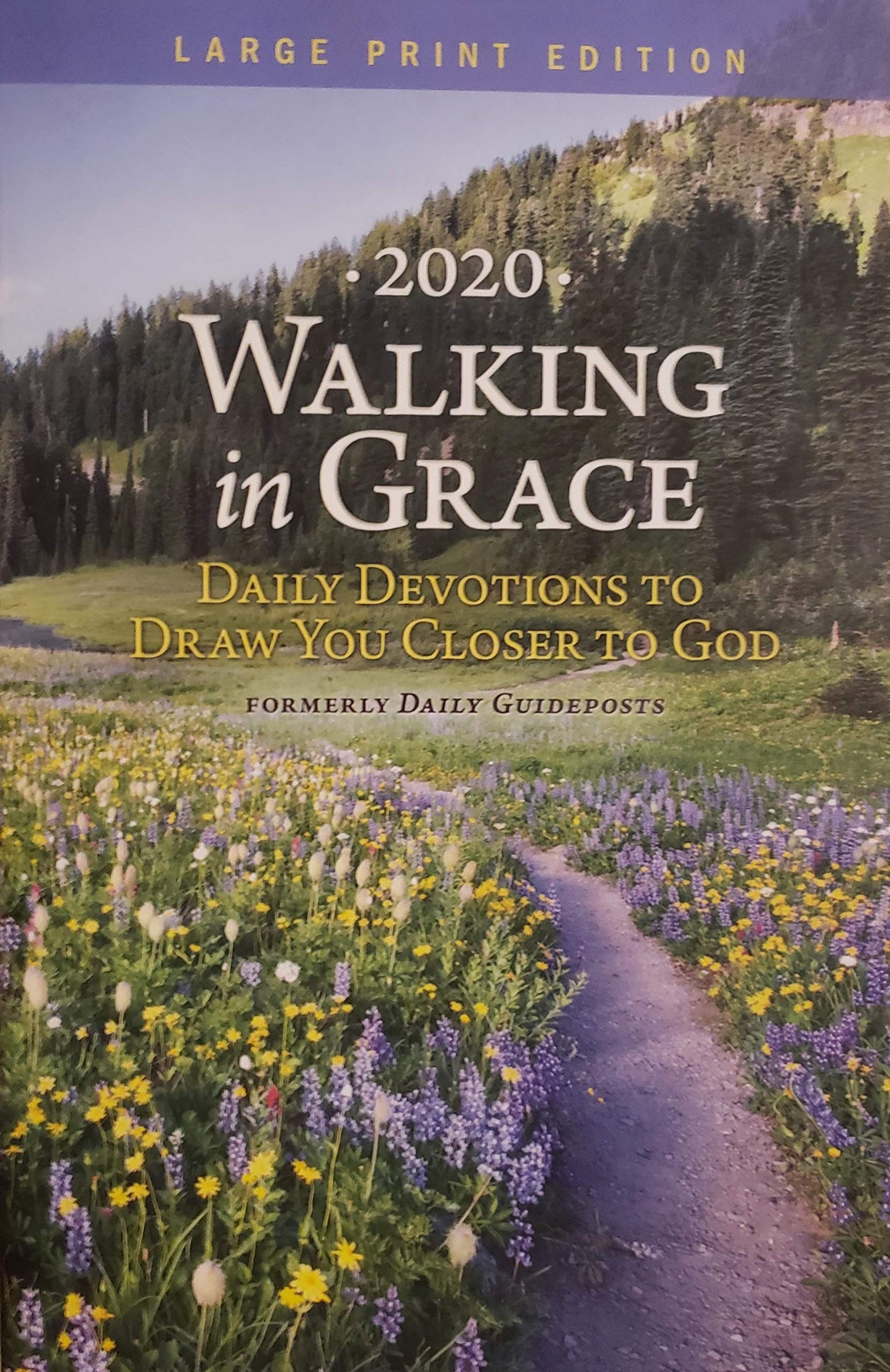 2020 Walking in Grace: Daily Devotions to Draw You Closer to God (Large Print Edition)