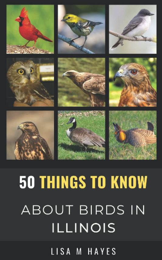 50 Things to Know About Birds in Illinois: Birding in the Prairie State (50 Things to Know About Birds- United States) - 8410