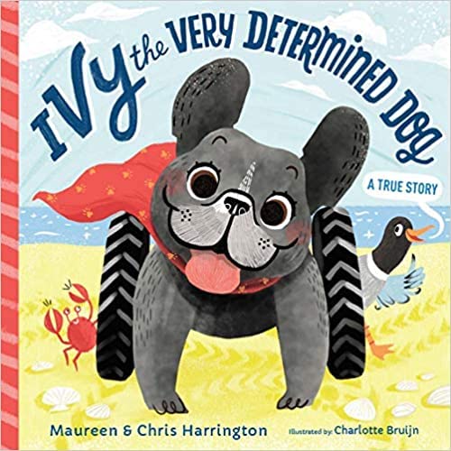 Ivy the Very Determined Dog (A True Story)