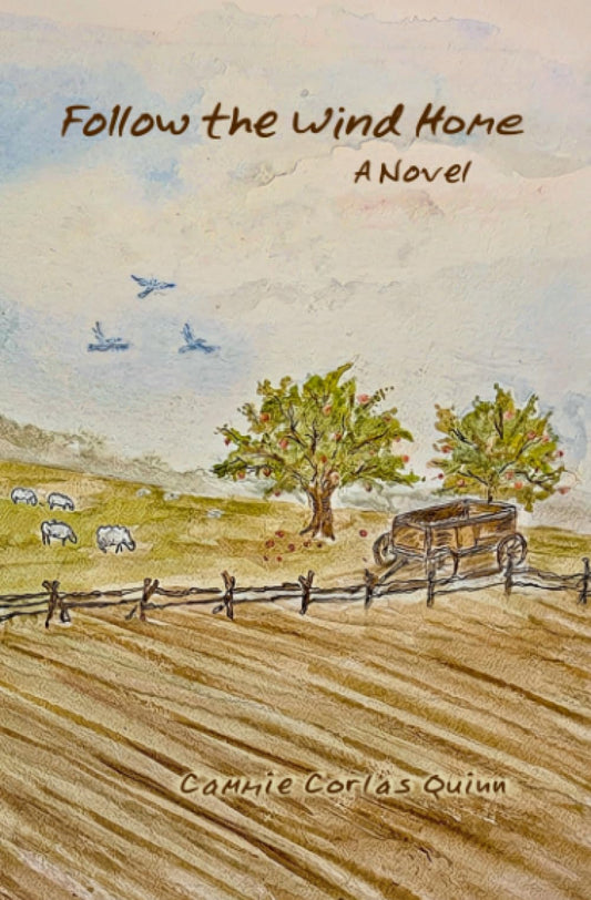 Follow the Wind Home: A Novel