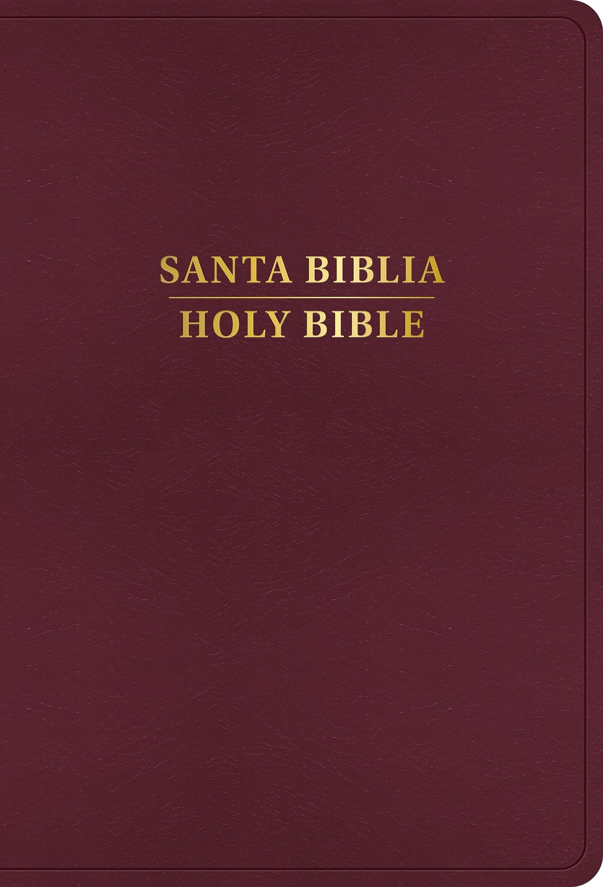 RVR 1960/KJV Biblia bilingüe letra grande, borgoña imitación piel, con índice (2024 ed.) / RVR 1960/KJV Large Print Bilingual Bible Burgundy Imitation Leather Indexed (2024 Edition) (Spanish Edition)
